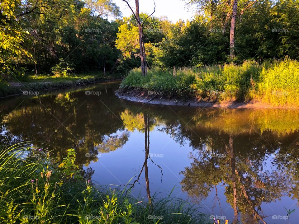 Summer reflections 