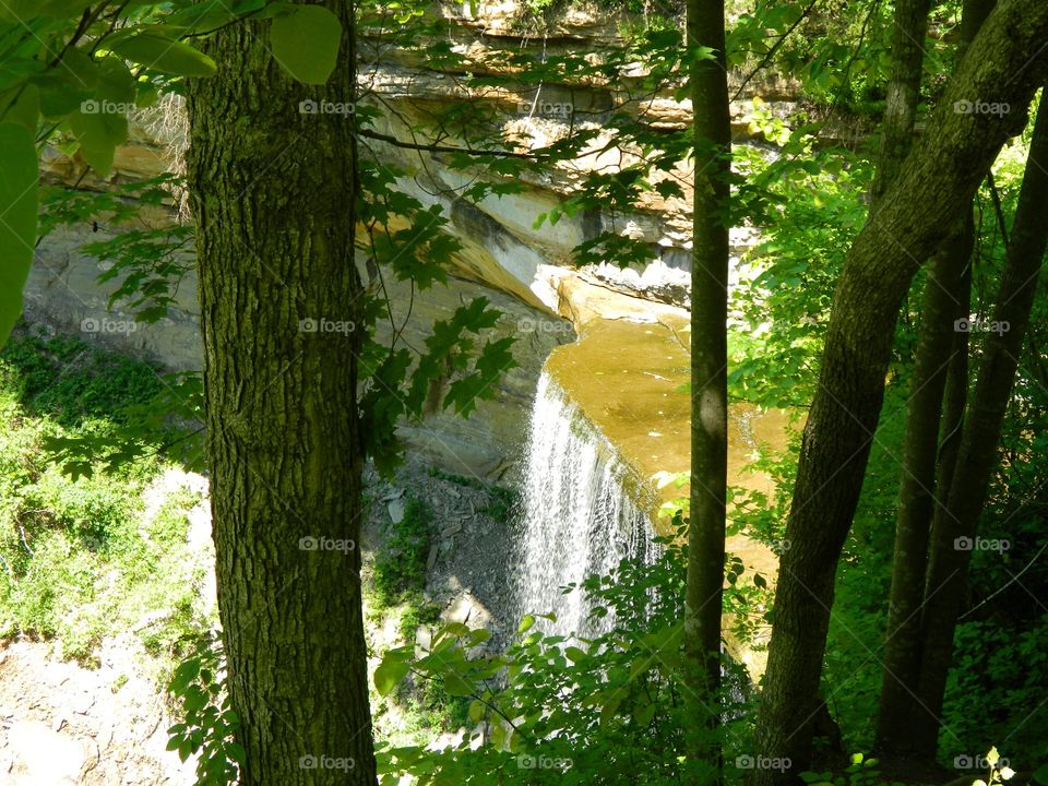 waterfall in the summer