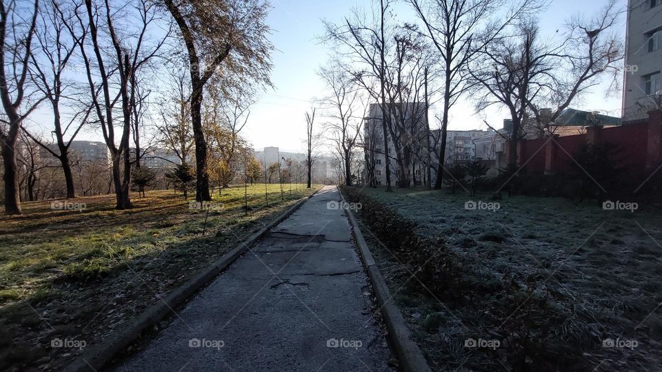 a warm autumn on the left and a cool winter on the right - a beautiful contrast of late autumn weather