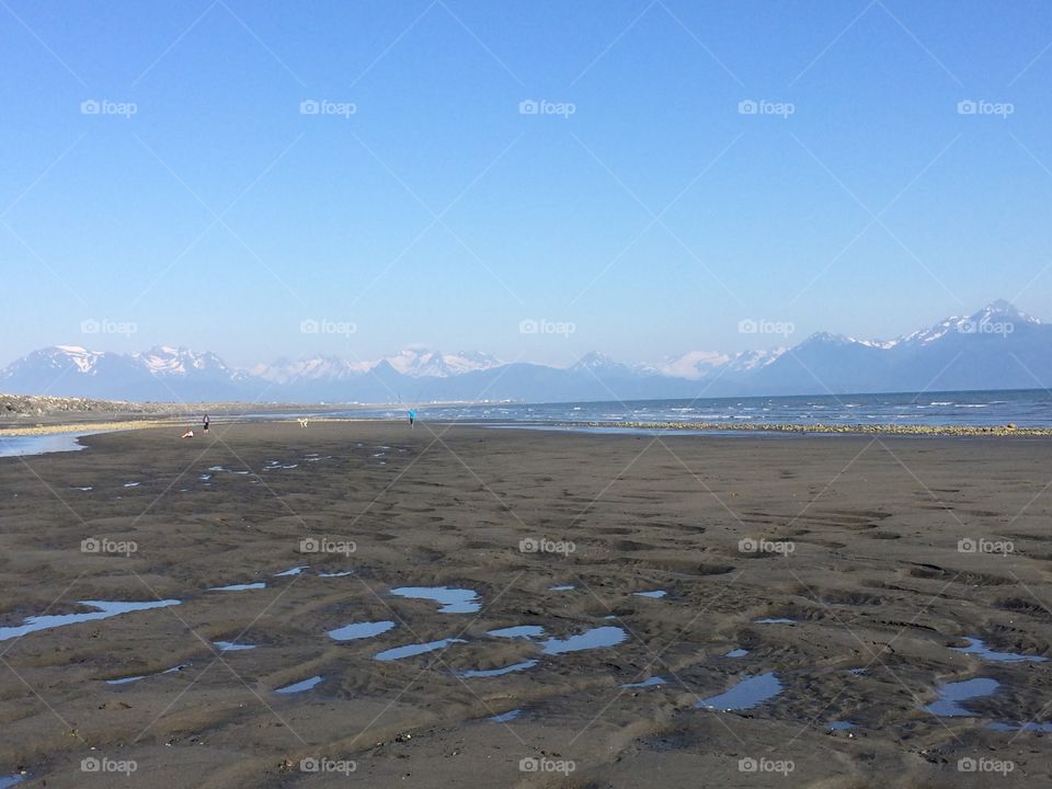 Low tide in Homer Alaska