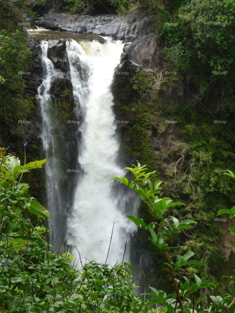 Maui, Hawaii 