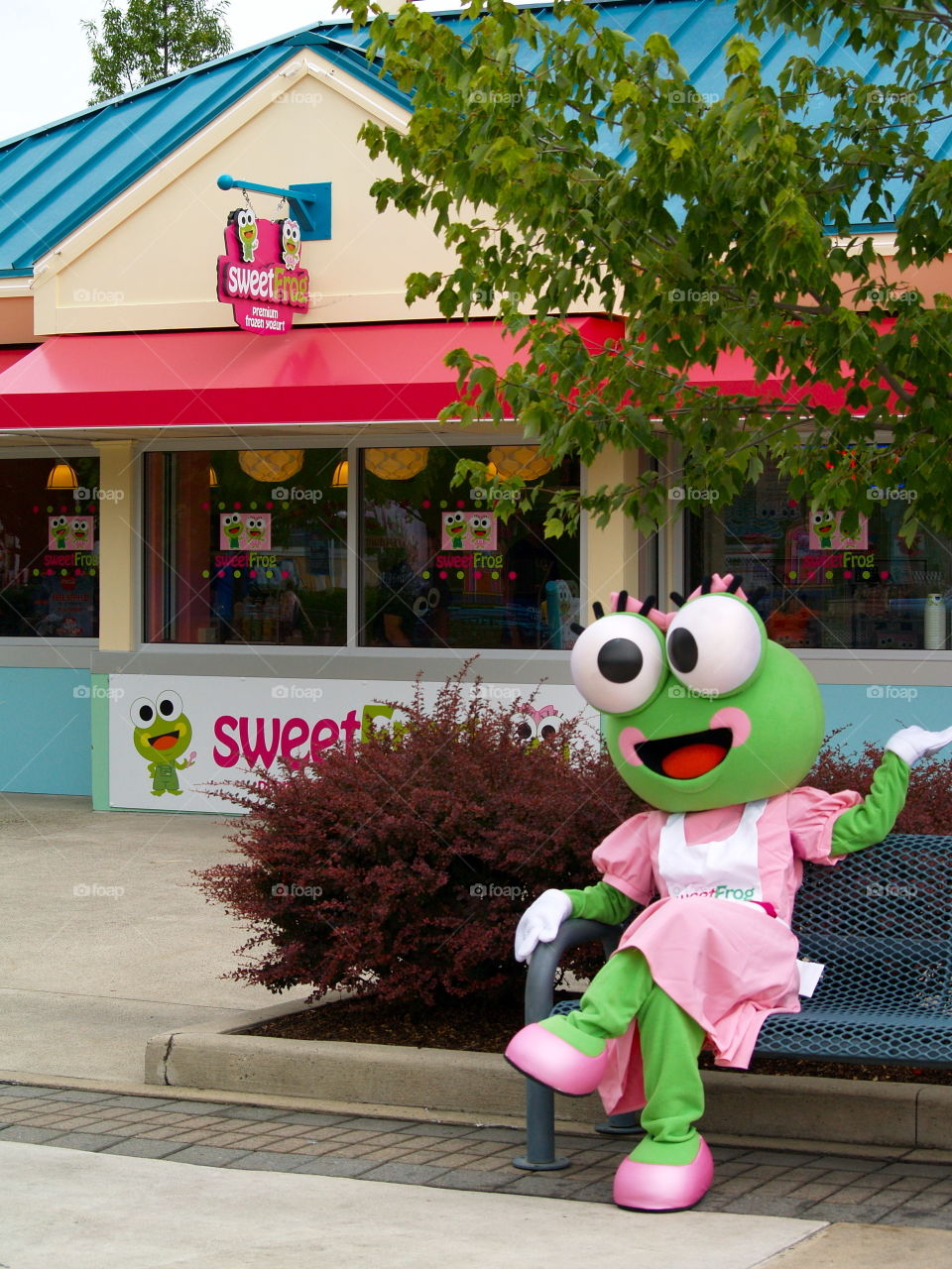 Sweet frog