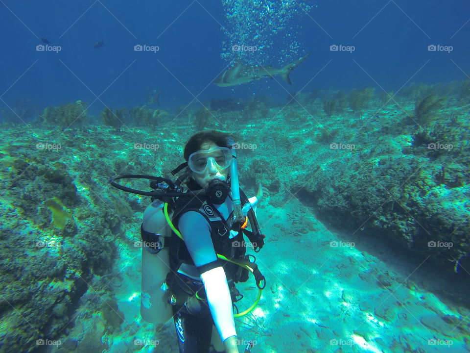 Shark Selfie . diving with sharks 