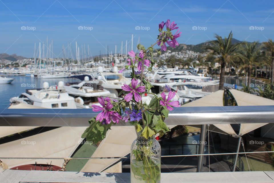 Purple flowers in a cafe of Yalikavak Marina, Turkey