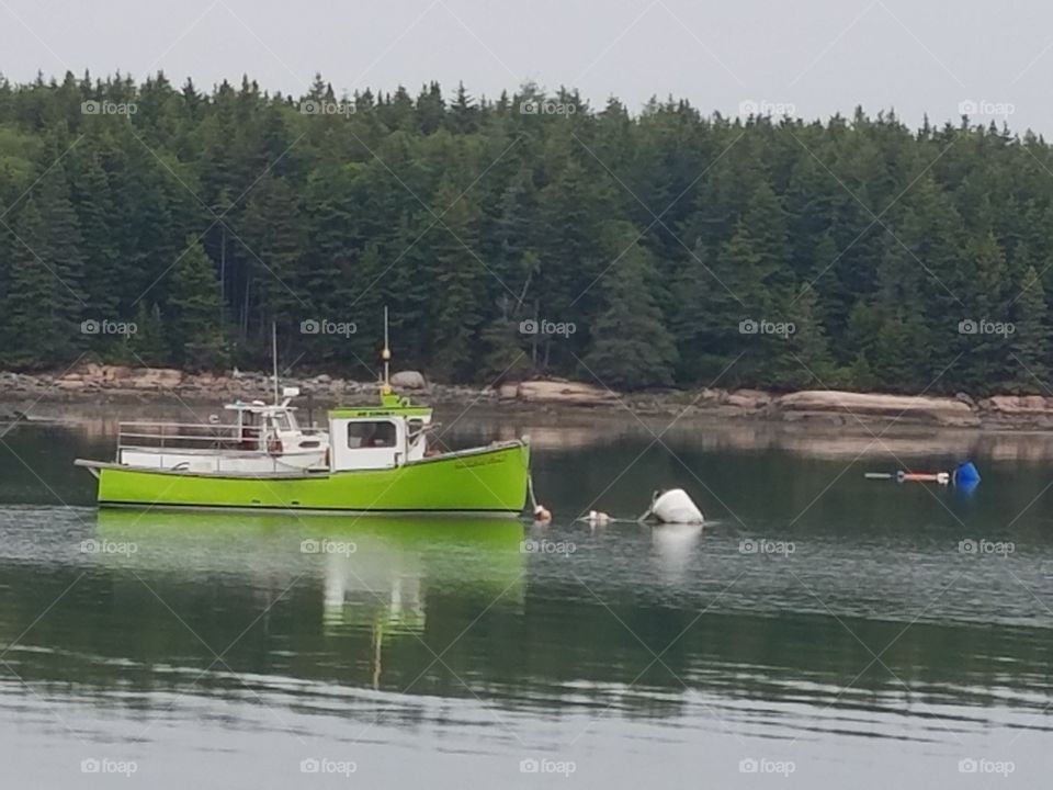 little green boat