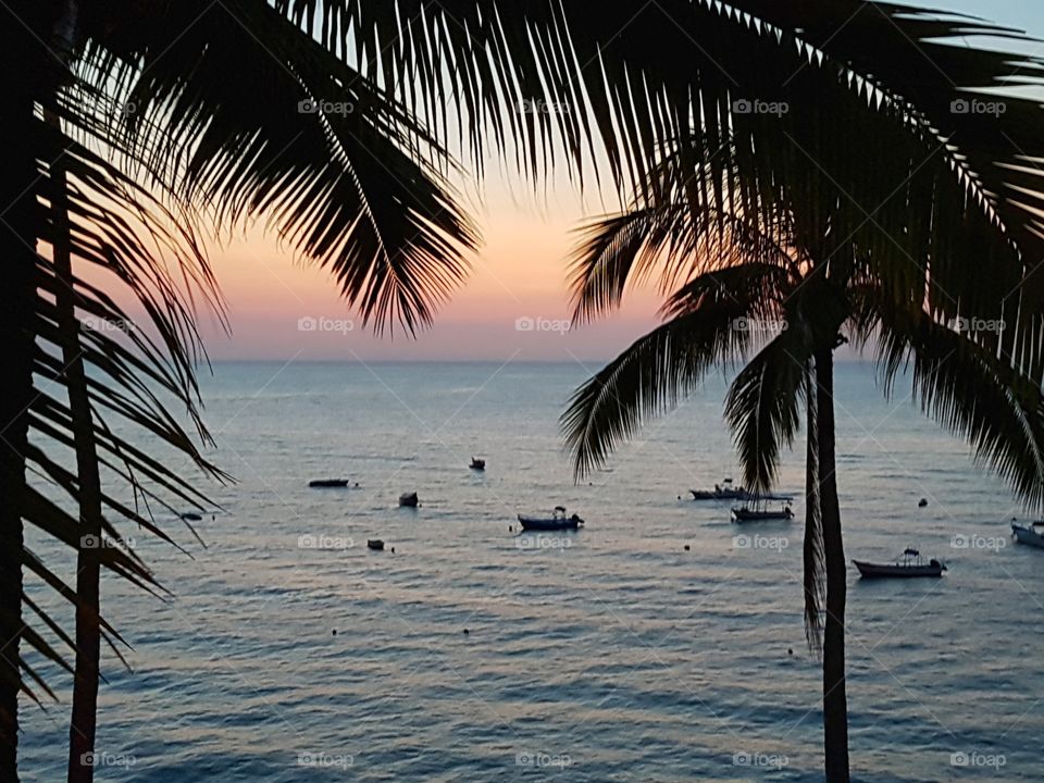 Vallarta Sunset