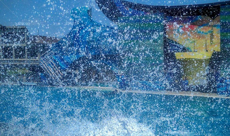 Splashy Splashy splashy