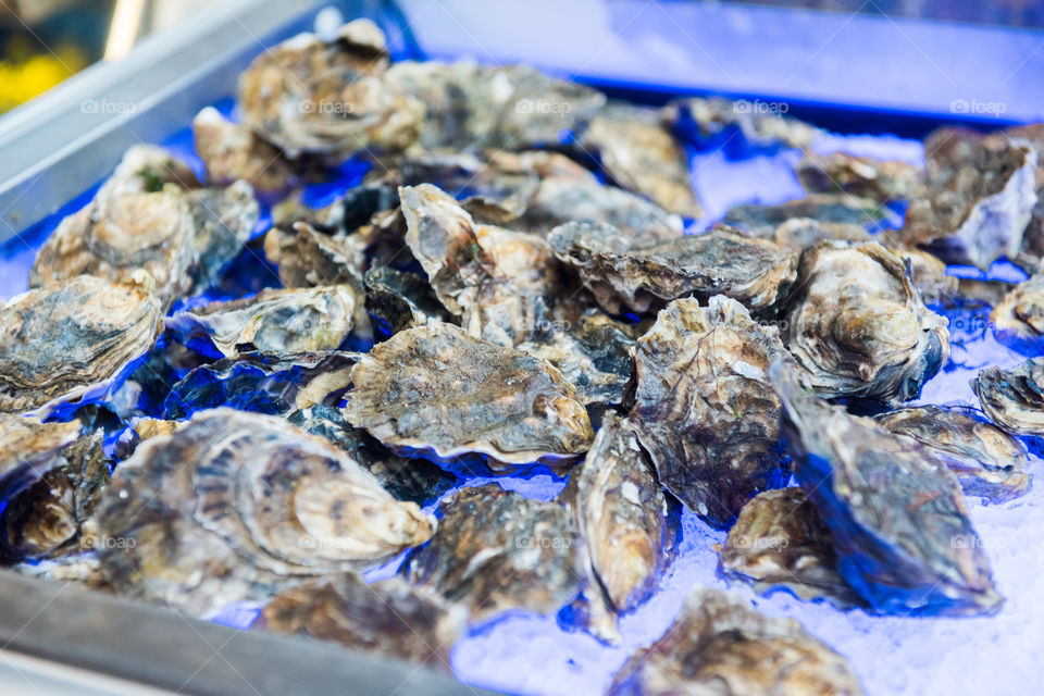 Oysters and seafood at Borough Market in London.