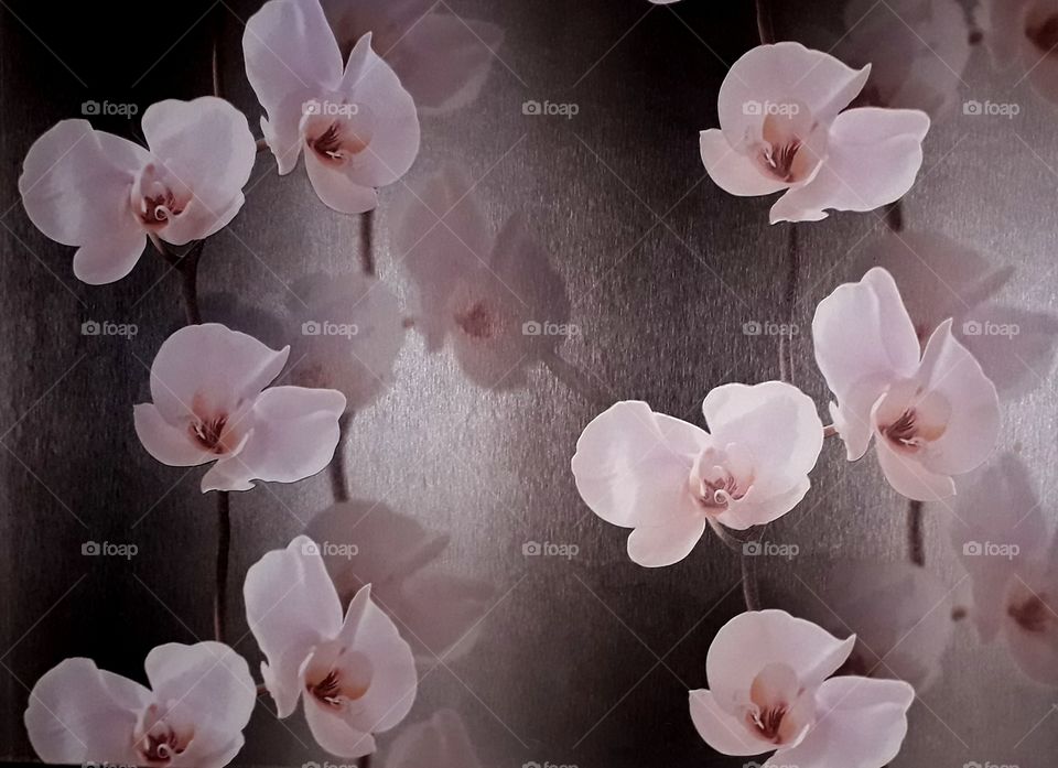 Flowers are on the wall.