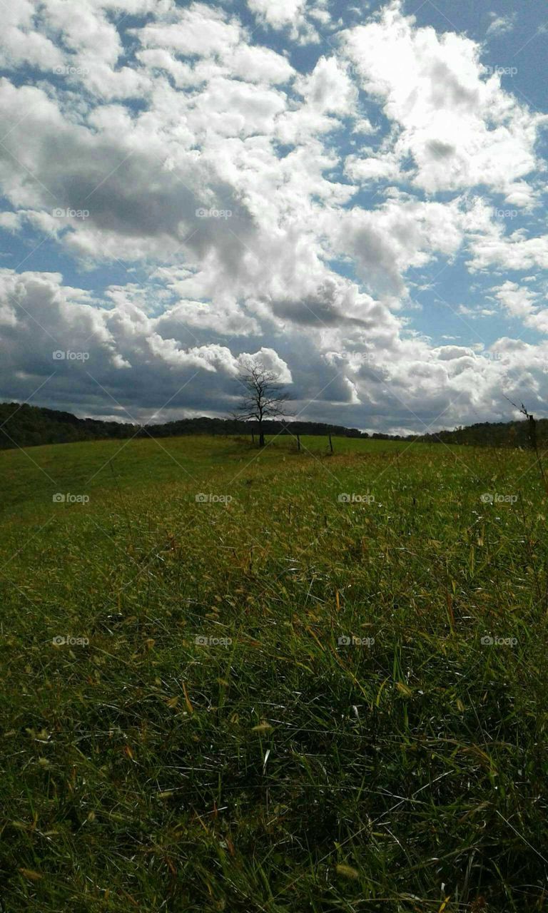 Cloudy Sky In Fall