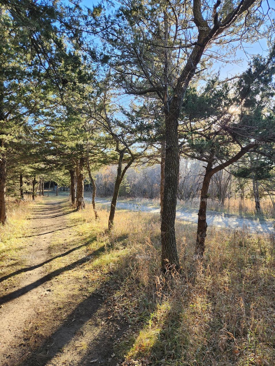 November Trail 1