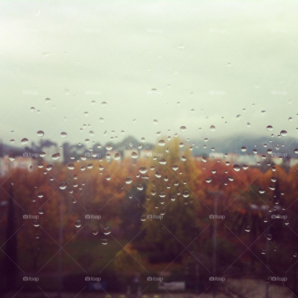 winter sky nature park by claudiapasadas