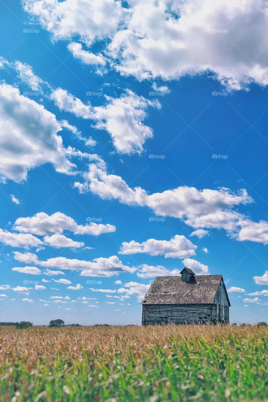 Country Skies