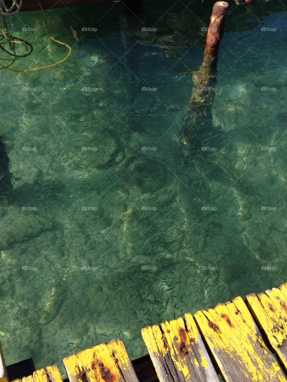 #muelle #agua #cristalina #transparente #caribe #mar #amazing 