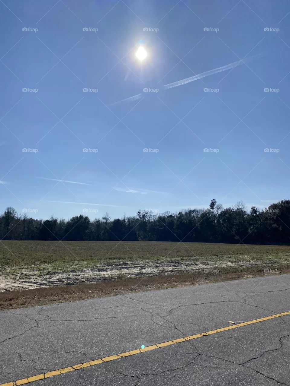 This is winter in the Deep South 67 degrees beautiful 