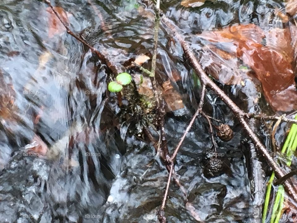 Water in motion 