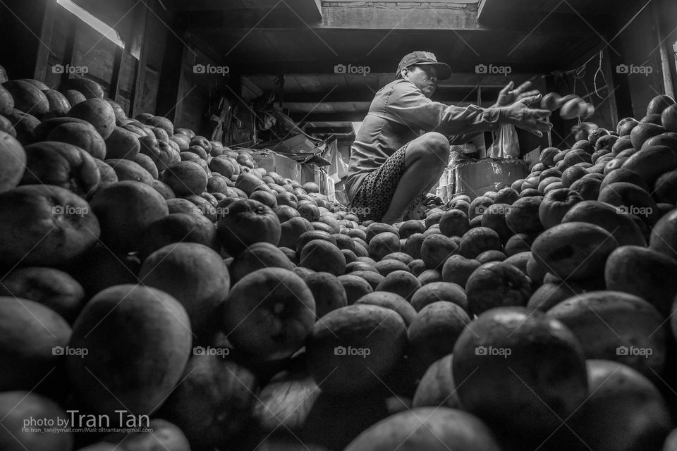 Cuộc sống trên sông nước của người miền tây. Đây là hình ảnh một người đàn ông đang sắp xếp lại các quả sapoche trong chiếc ghe đang hướng về chợ Cà Mau. 