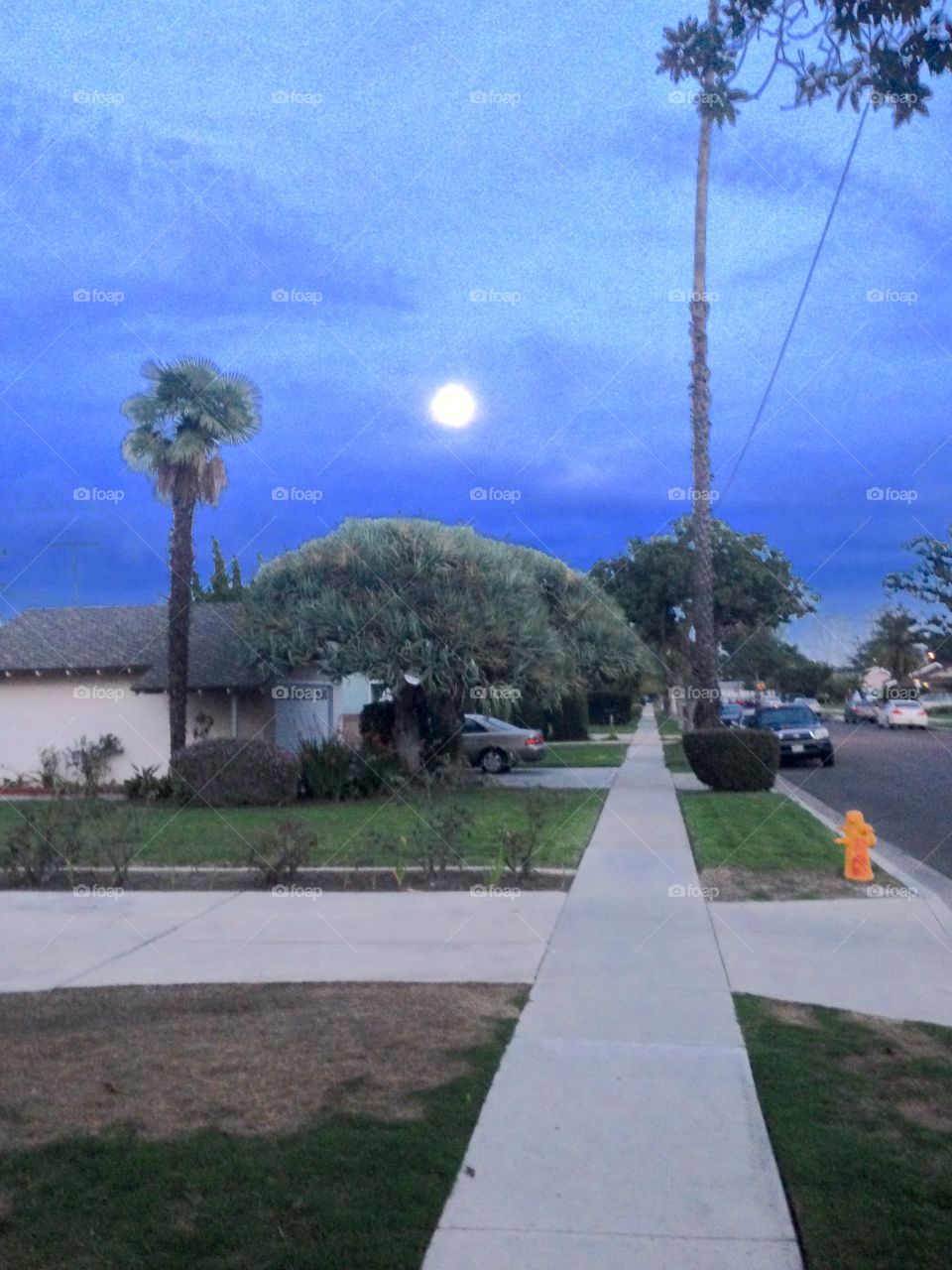 Almost Night Time

Published by:
HappyBrownMonkey 