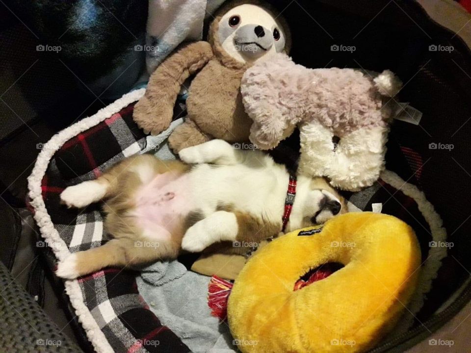 This is my comfortable position!