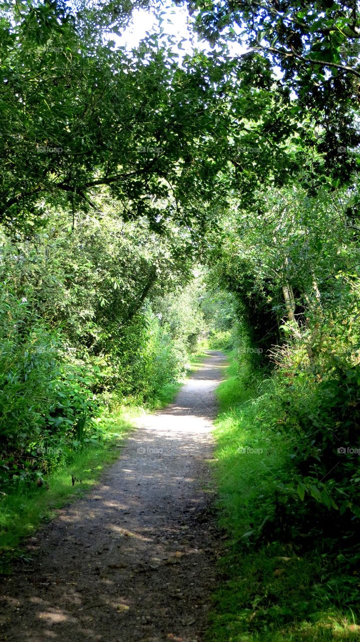 vegetal archway