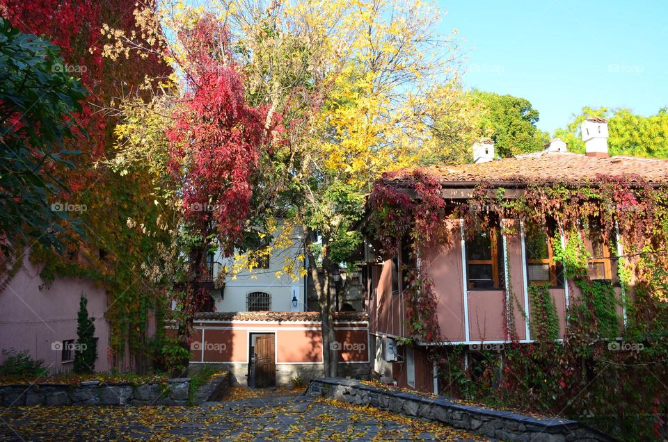 Autumn City Landscape