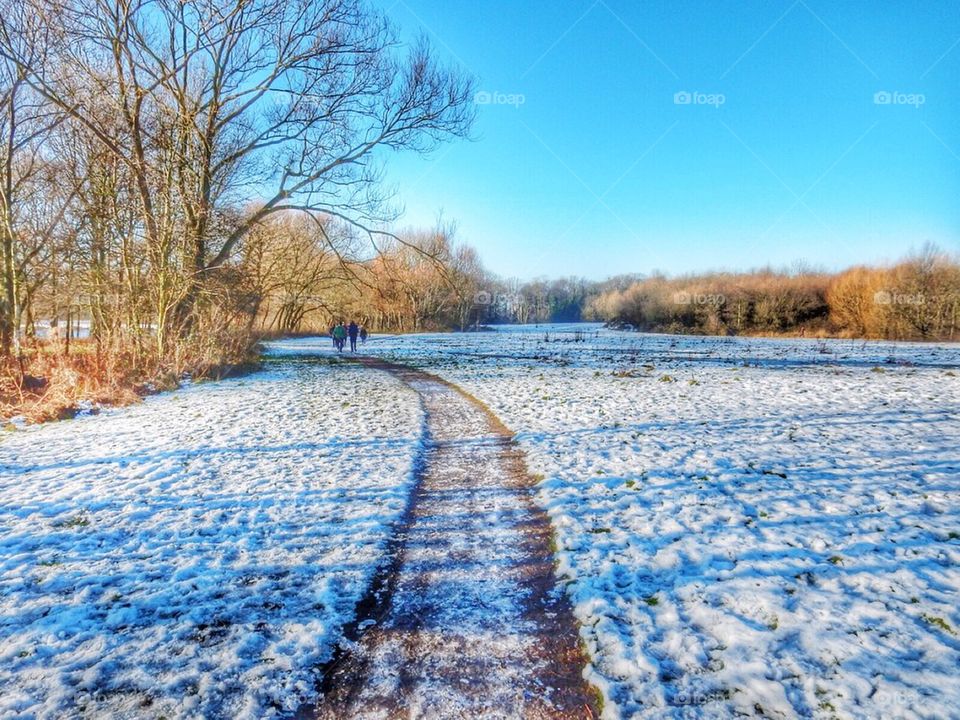 A winter walk