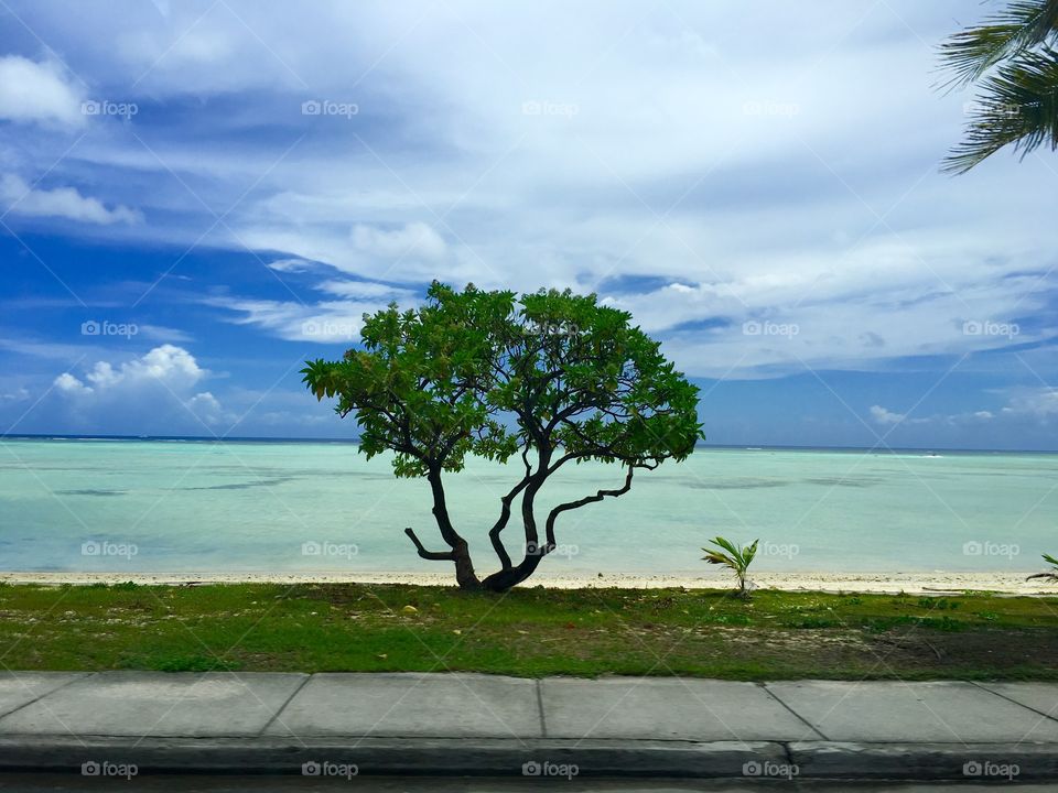 Island Shoreline
