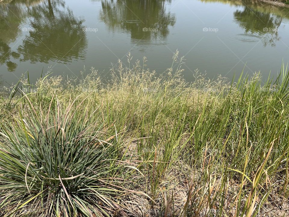 Urban Nature : Water.