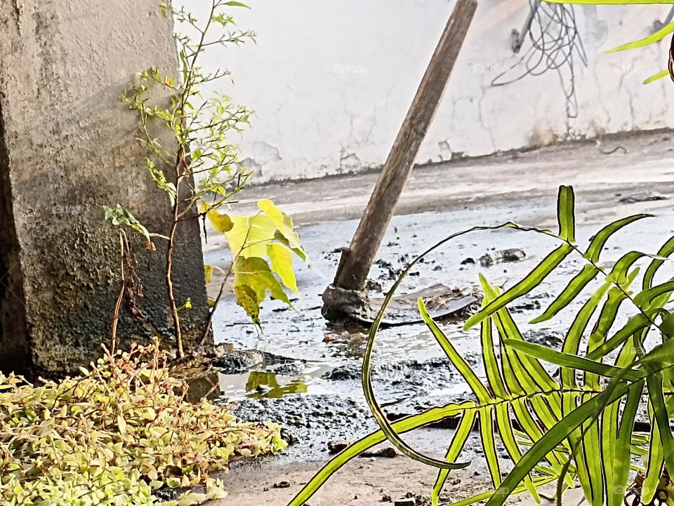 wet and dry catching sky