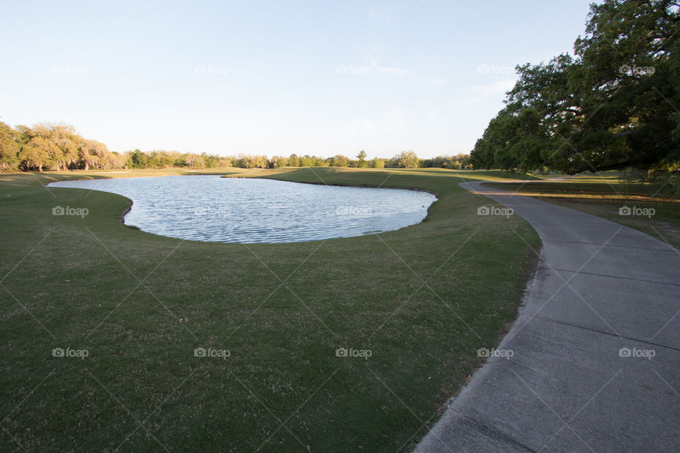 Pond in the park 