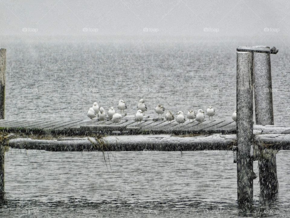 Waiting out the storm...