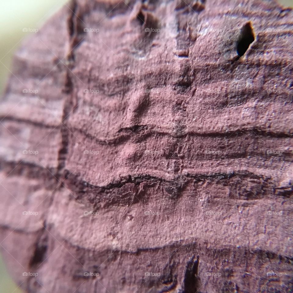 Beautiful shot showing the detail of a cork freshly popped from a bottle of wine 