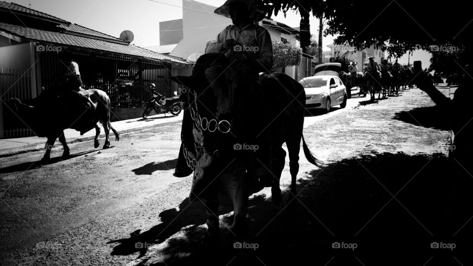 Confraternização, cavalgada nas ruas.