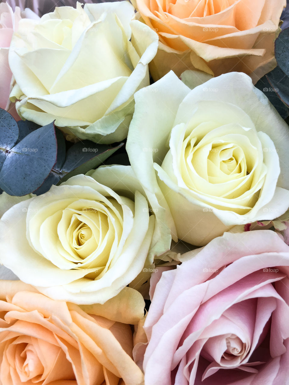 A Bunch Of Pastel Coloured Roses