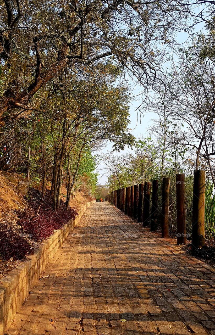 botanical garden of Jundiaí