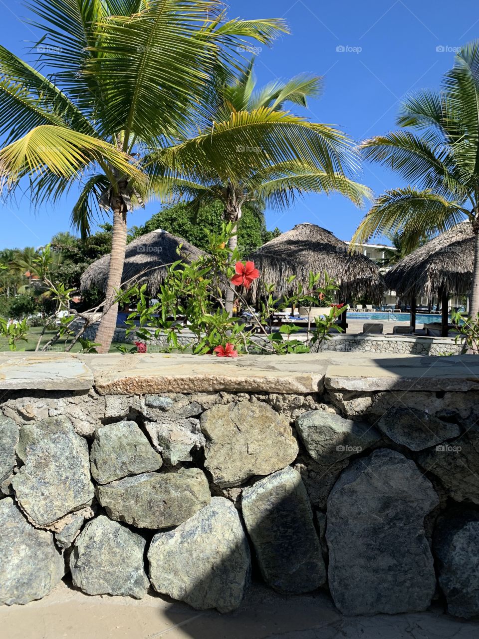 Beach, Ocean, Travel, Summer, No Person