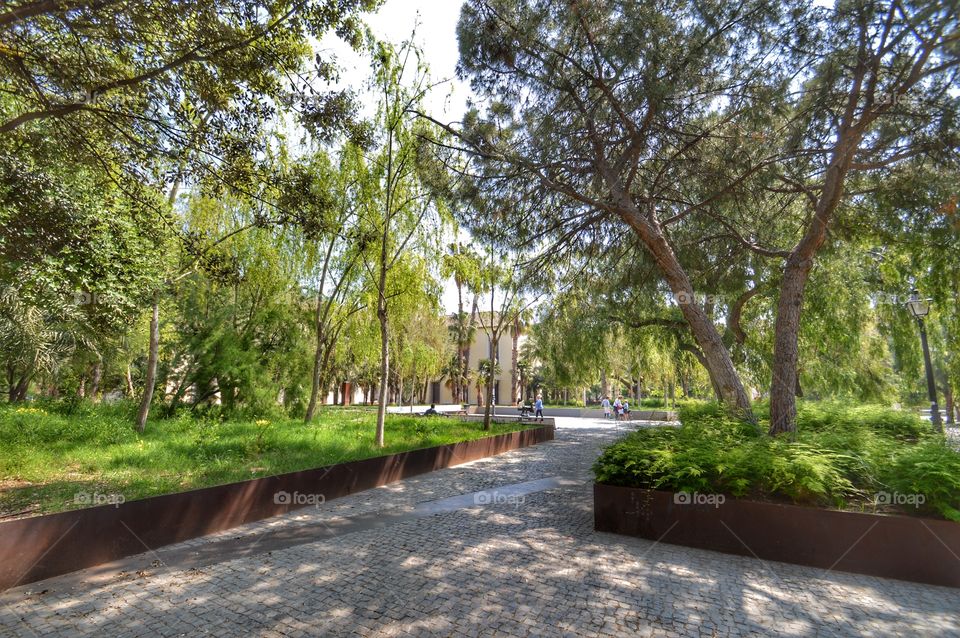 Jardin Arqueológico (Valencia - Spain)