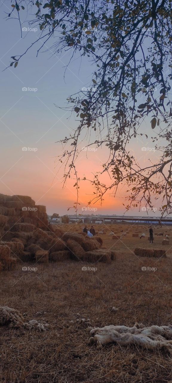 A scene of nature, relaxing and beautiful