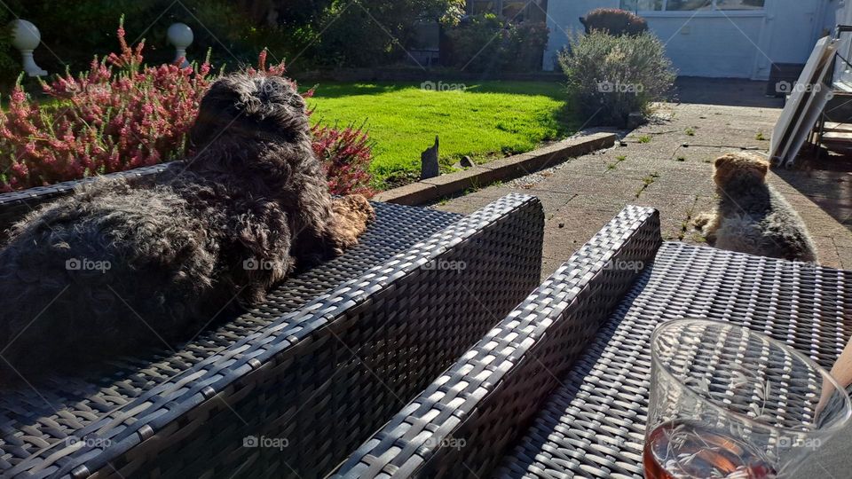 facing the same direction