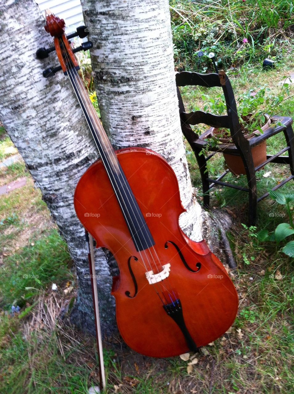 Cello and Chair