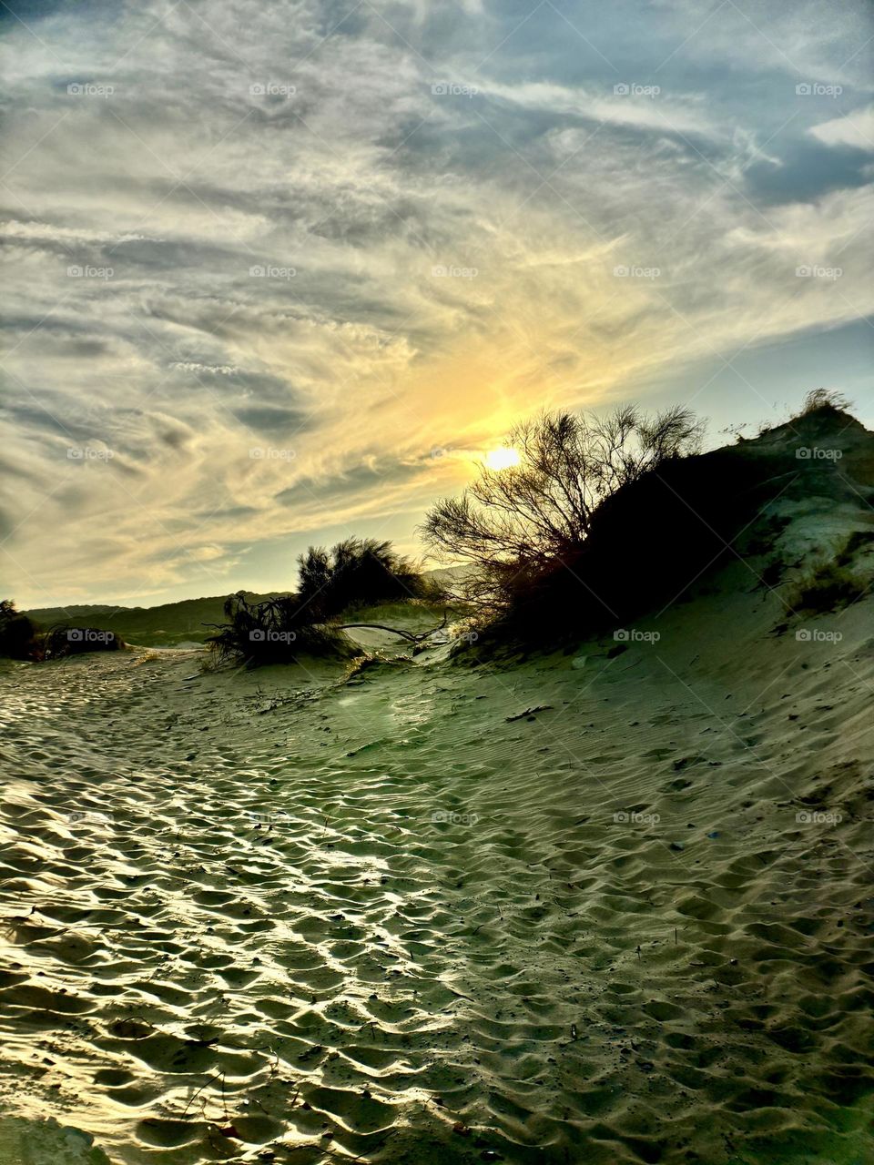 The sand dunes of Tarifa, Spain.