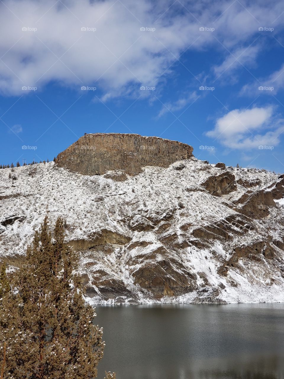 A lone juniper tree in the foreground of an basalt outcropping on a hill with a fresh layer of snow overlooking a partially ice covered Prineville Reservoir on a winter day with blue skies. 