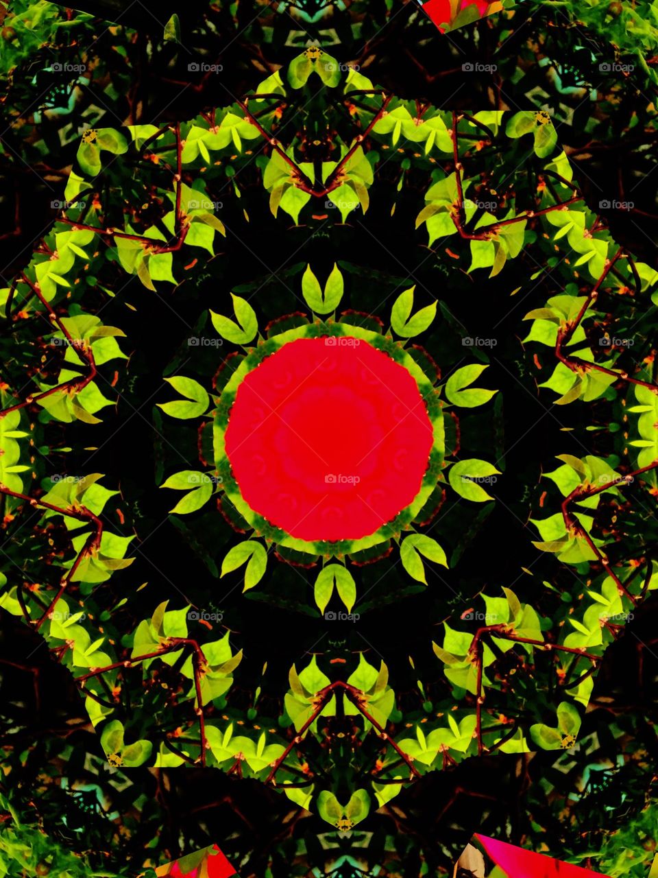 I’m so amazed how a simple photo transformed into this design, so I enjoyed doing this