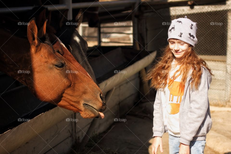 A horse asks for apples sticking its tongue out from a little girl with long blonde hair