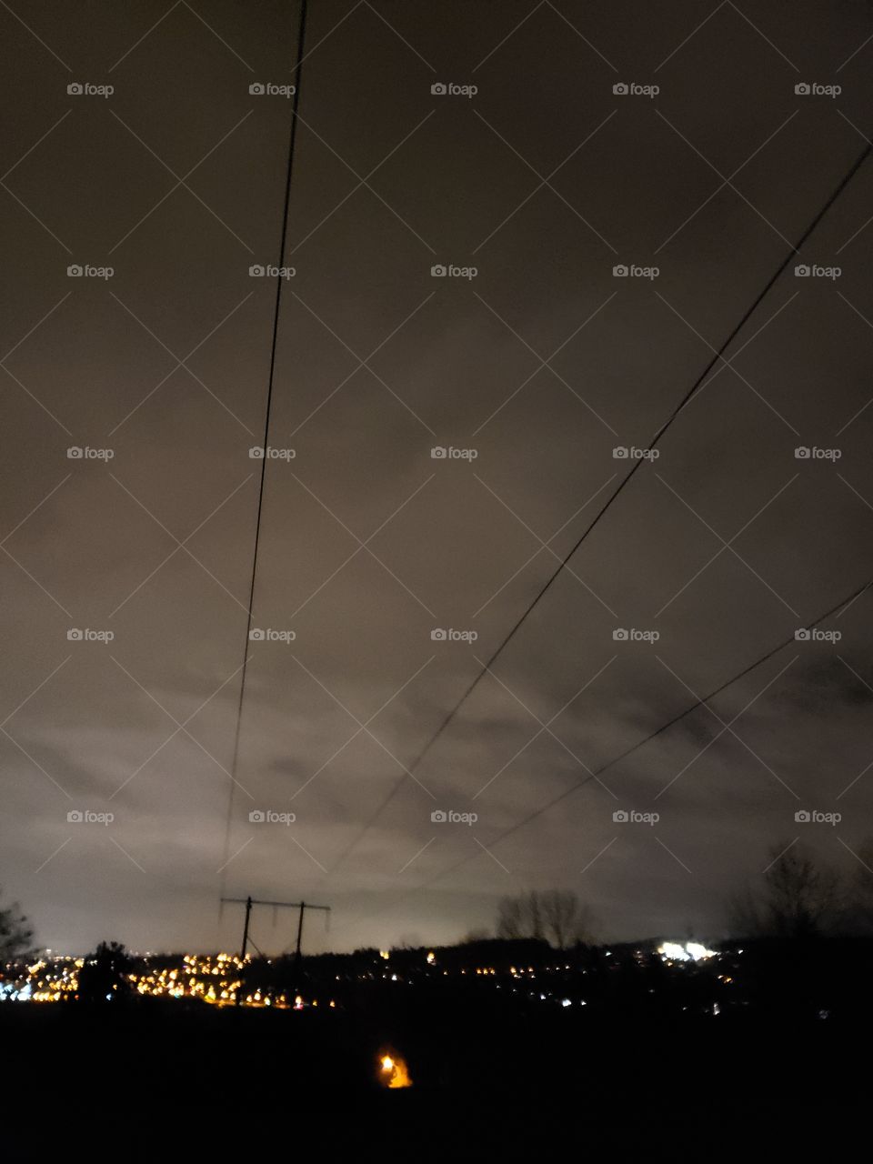 powerline electrical shock; greyscale.