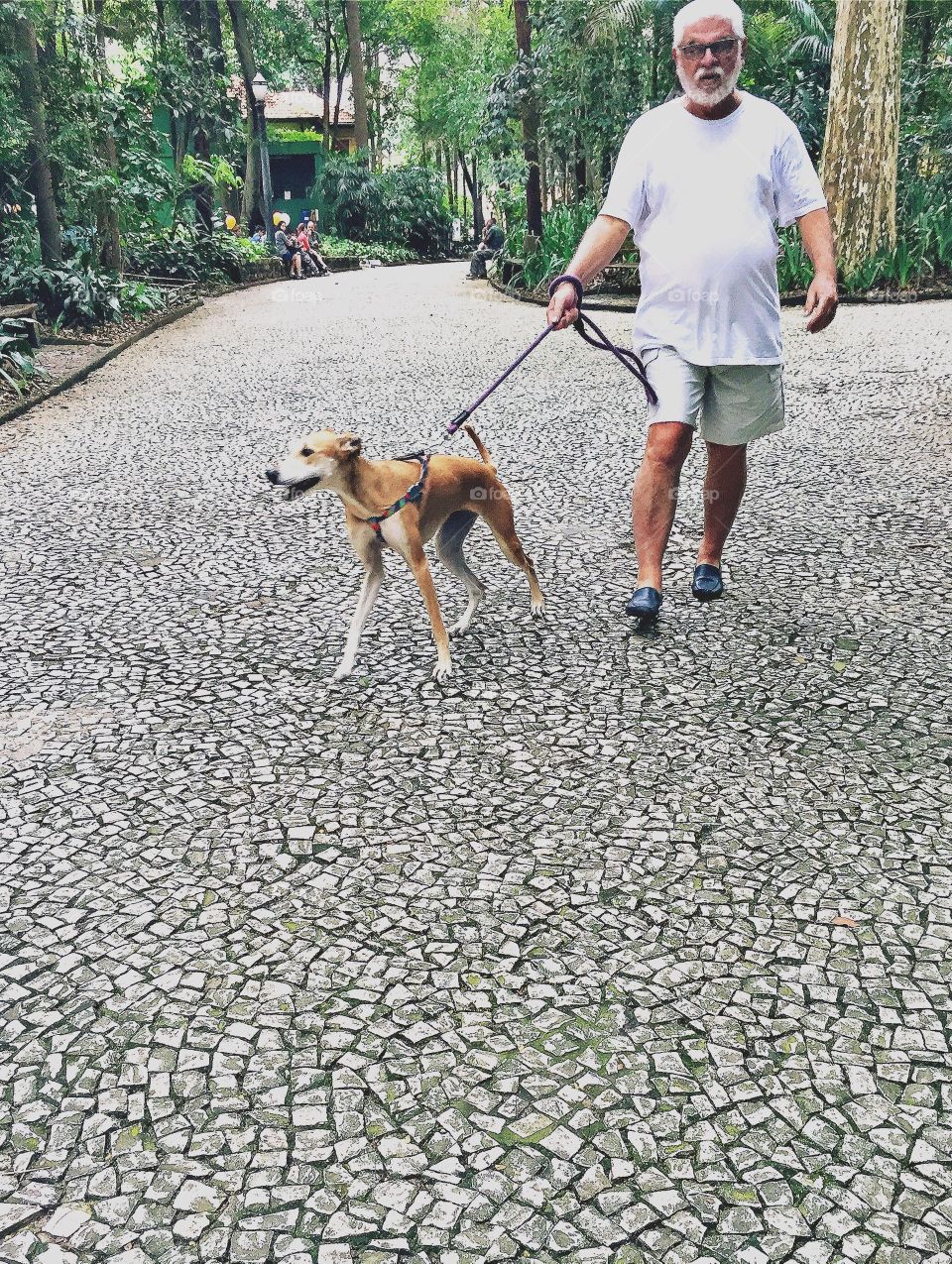 Man walks his dog 