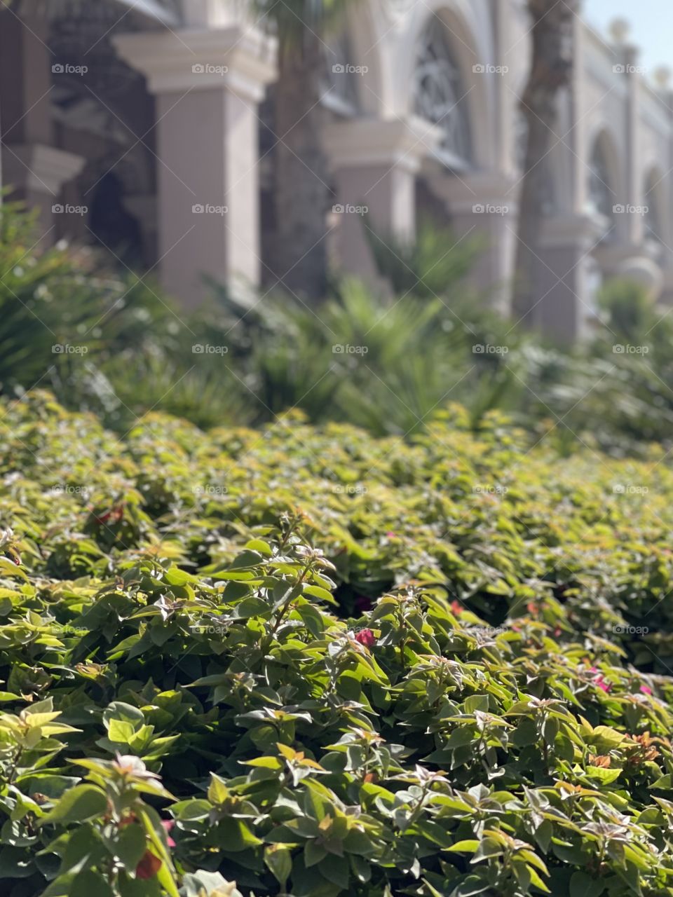 Green façade - Kempinski Hotel Dubai