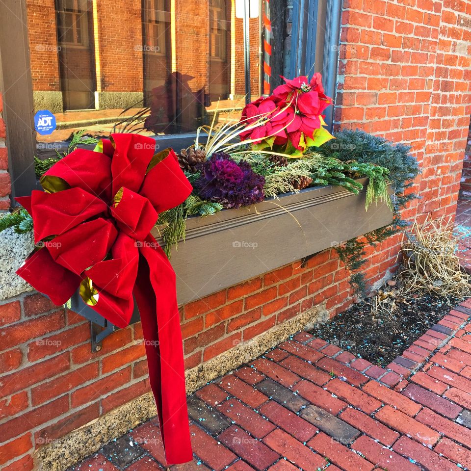 A holiday display including a red ribbon and poinsettias. It is set in a window box in an exterior shot. Brickwork surrounds the scene.