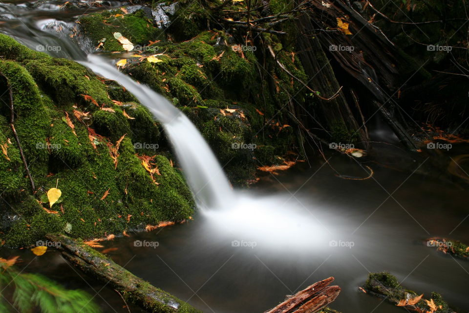 Green Waterfall 
