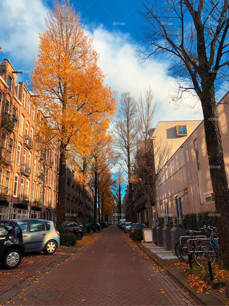 Autumn in Amsterdam December 